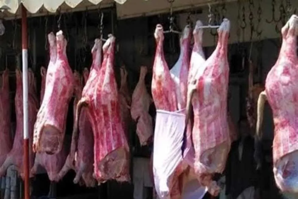 هل يفي إنتاج مصر من اللحوم بمطالبنا؟.. رد الحكومة هل يفي إنتاج مصر من اللحوم بمطالبنا؟.. رد الحكومة