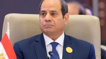 هند سعيد صالح تطلب من رئيس الجمهورية إعادة زوجها إلى عمله بعد فصله المفاجئ