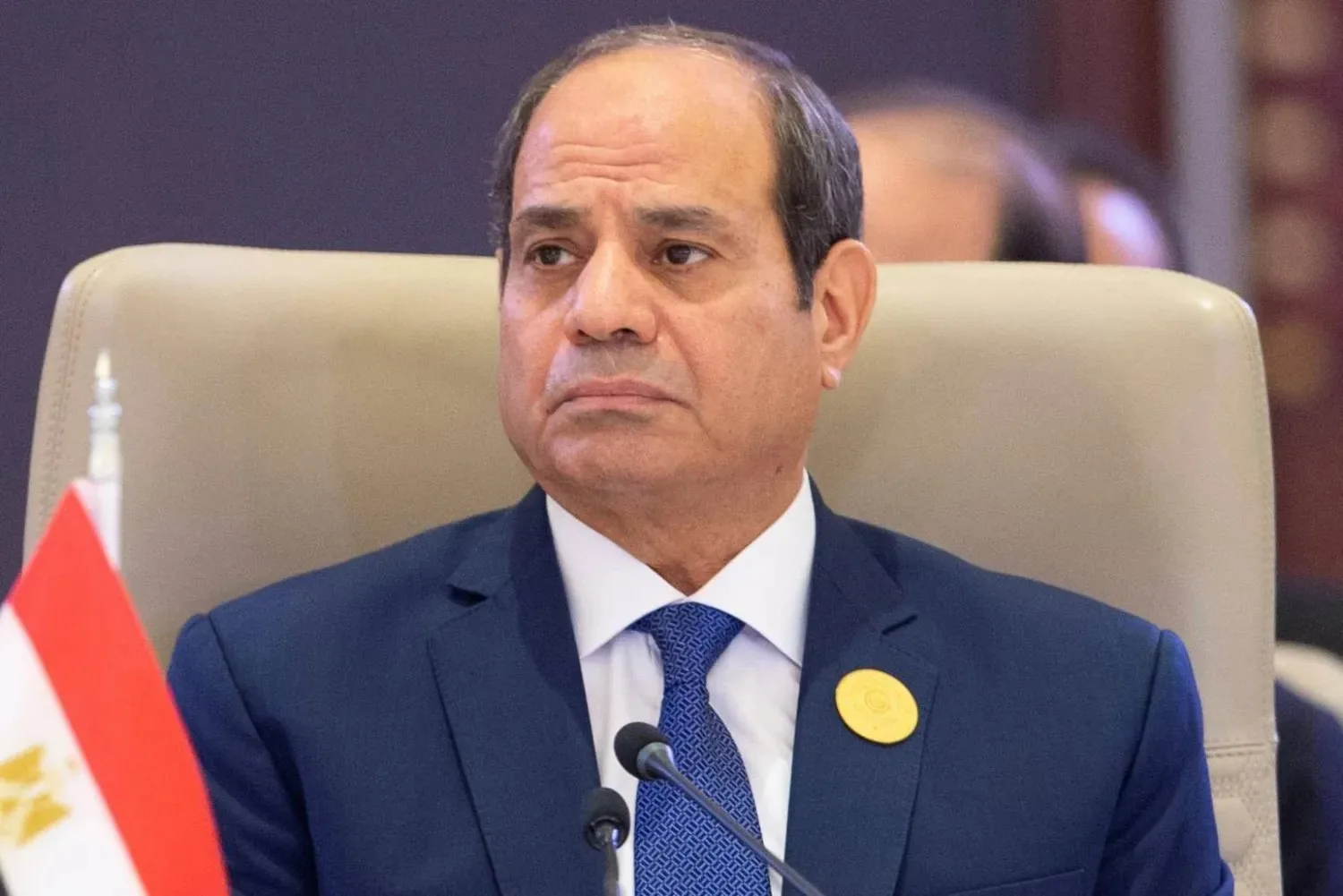 هند سعيد صالح تطلب من رئيس الجمهورية إعادة زوجها إلى عمله بعد فصله المفاجئ هند سعيد صالح تطلب من رئيس الجمهورية إعادة زوجها إلى عمله بعد فصله المفاجئ
