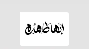 وزارة البيئة تطلق مبادرة “إنها طاهرة” لرفع مستوى الوعي البيئي خلال موسم حج 1446هـ  
04 يونيو 2025 | 07:01 مساءً