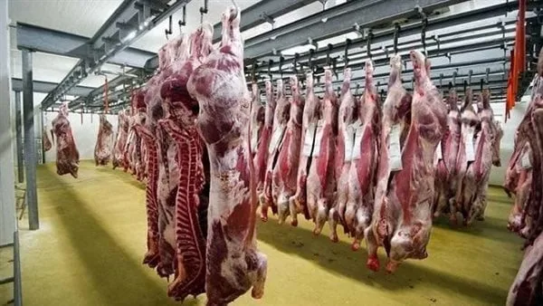 وزارة الزراعة: المسالخ الحكومية استقبلت أكثر من 28 ألف أضحية في ثلاثة أيام بمناسبة عيد الأضحى وزارة الزراعة: المسالخ الحكومية استقبلت أكثر من 28 ألف أضحية في ثلاثة أيام بمناسبة عيد الأضحى