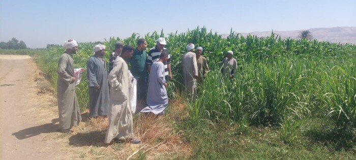 الزراعة تتفقد الأنشطة البحثية بالأقصر