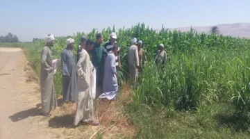وزارة الزراعة تتفقد الأنشطة البحثية والتوجيهية في قرى الأقصر