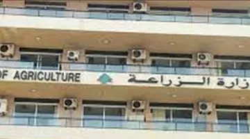 وزارة الزراعة تعلن عن ضبط انتهاك بيئي في بشمزين