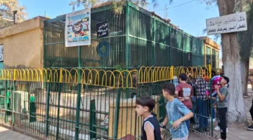 وزارة الزراعة: حدائق الحيوان والأسماك في الزمالك استقبلت أكثر من 38 ألف زائر في أول يومين من العيد