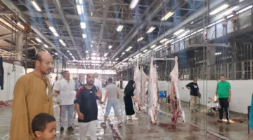 “وزارة الزراعة”: ذبح أكثر من 20 ألف أضحية في المجازر خلال اليومين الأولين من عيد الأضحى
