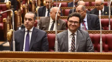 وزير الثقافة: لم يتم غلق أي قصر ثقافة، بل تم إغلاق شقق مستأجرة فقط.