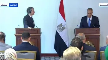 وزير الخارجية: مصر تؤيد حل سلمي وسياسي للقضية النووية الإيرانية