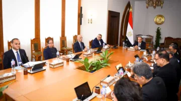 وزير الخارجية ي reaffirm موقف مصر الداعم للتهدئة مع باكستان خلال لقاء مع وفد برلماني هندي (تفاصيل)