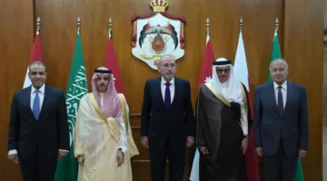 وزير الخارجية يسلط الضوء على المساعي المصرية لفرض هدنة في غزة