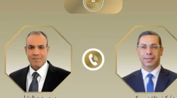 وزير الخارجية يناقش مع نظيره القبرصي مساعي مصر لإنهاء القتال في غزة