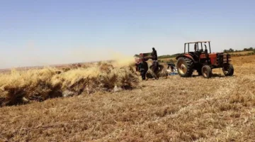 وزير الزراعة: تسليم 4 ملايين طن من القمح من الفلاحين حتى الآن