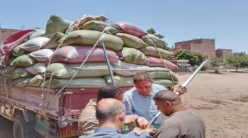 وزير الزراعة: تسليم 4 ملايين طن من القمح منذ انطلاق الموسم