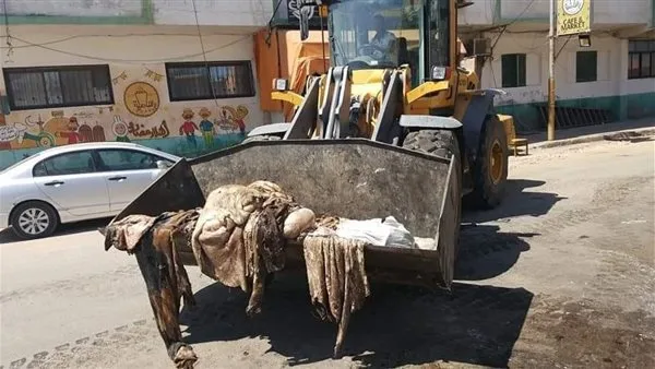 وزيرة البيئة تطالب المواطنين بالذبح في المواقع المخصصة والتخلص السليم من نفايات الأضاحي وزيرة البيئة تطالب المواطنين بالذبح في المواقع المخصصة والتخلص السليم من نفايات الأضاحي