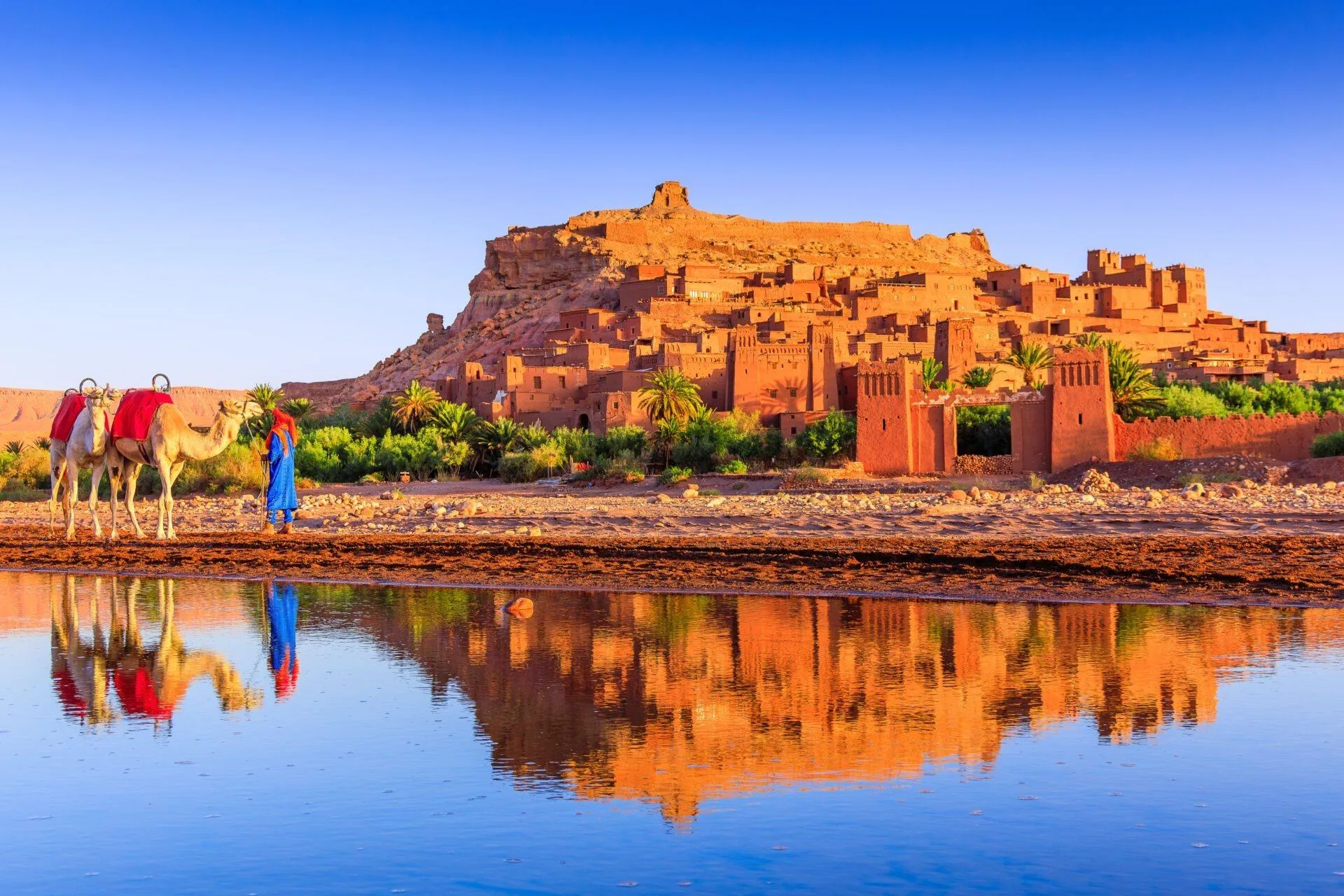 وزيرة السياحة: الثقافة المغربية تستقطب 50% من السياح الأجانب وتعزز تطوير القطاع في 2025 وزيرة السياحة: الثقافة المغربية تستقطب 50% من السياح الأجانب وتعزز تطوير القطاع في 2025