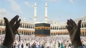 وصول أولى دفعات حجاج السياحة إلى عرفات لأداء الشعائر الأساسية للحج