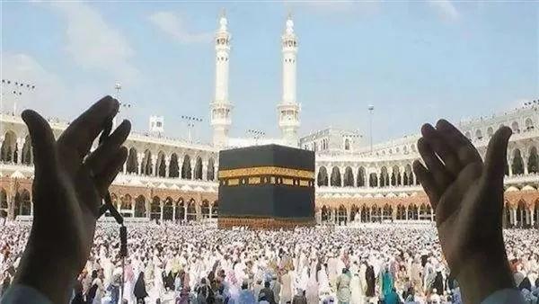 وصول أولى دفعات حجاج السياحة إلى عرفات لأداء الشعائر الأساسية للحج وصول أولى دفعات حجاج السياحة إلى عرفات لأداء الشعائر الأساسية للحج